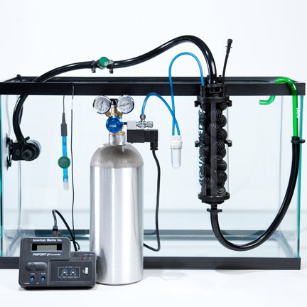 CO2 cho hồ thủy sinh