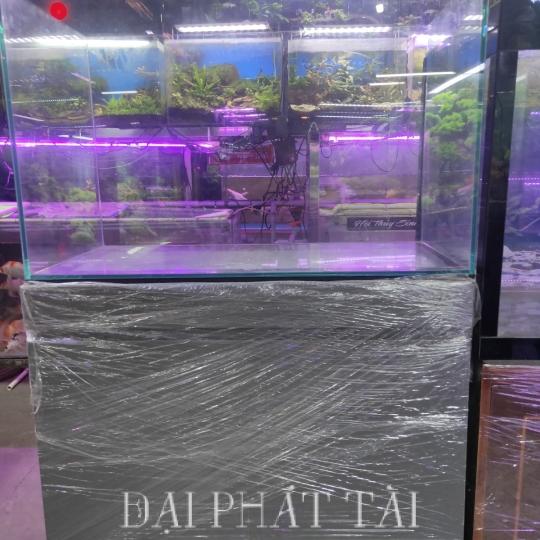 Hồ kính có chân tủ